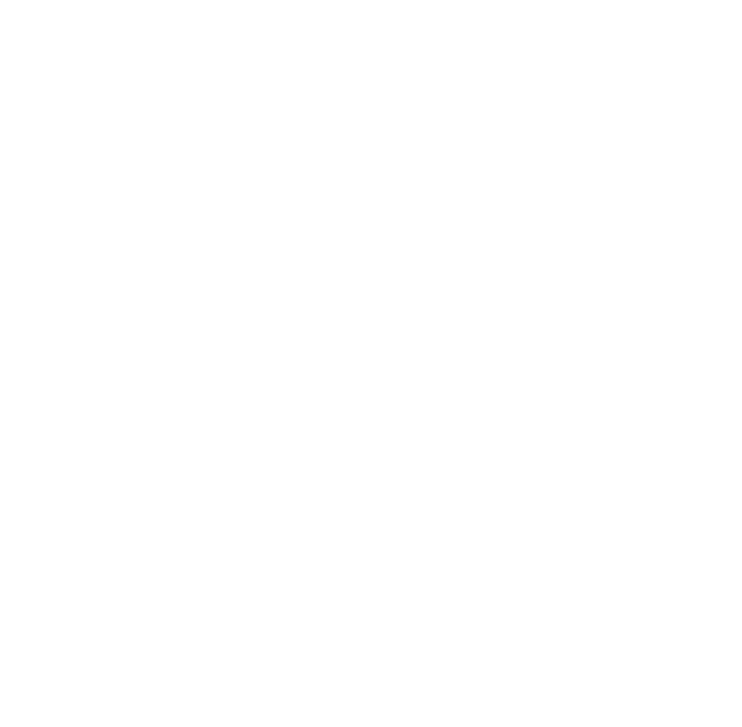 Project Logo