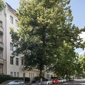 Außenansichtthumbnail